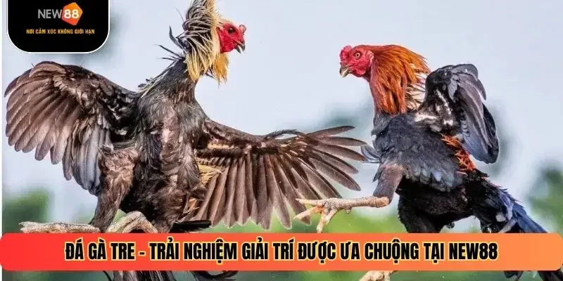 Đá Gà Tre